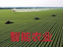 2023蚌埠淮上区基农技推广补助项目农业科技试验示范基地遴选公告