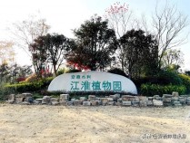 蚌埠城南开了个新园——江淮植物园